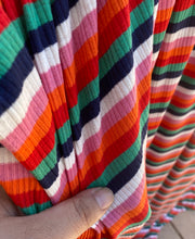 Load image into Gallery viewer, Zinnia Multicolor Stripe Ribbed Knit
